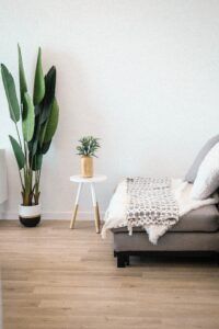 salon minimalista con plantas Lumasa