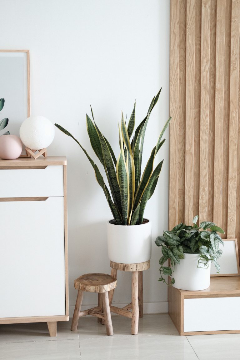 Proyectos de interiorismo naturales